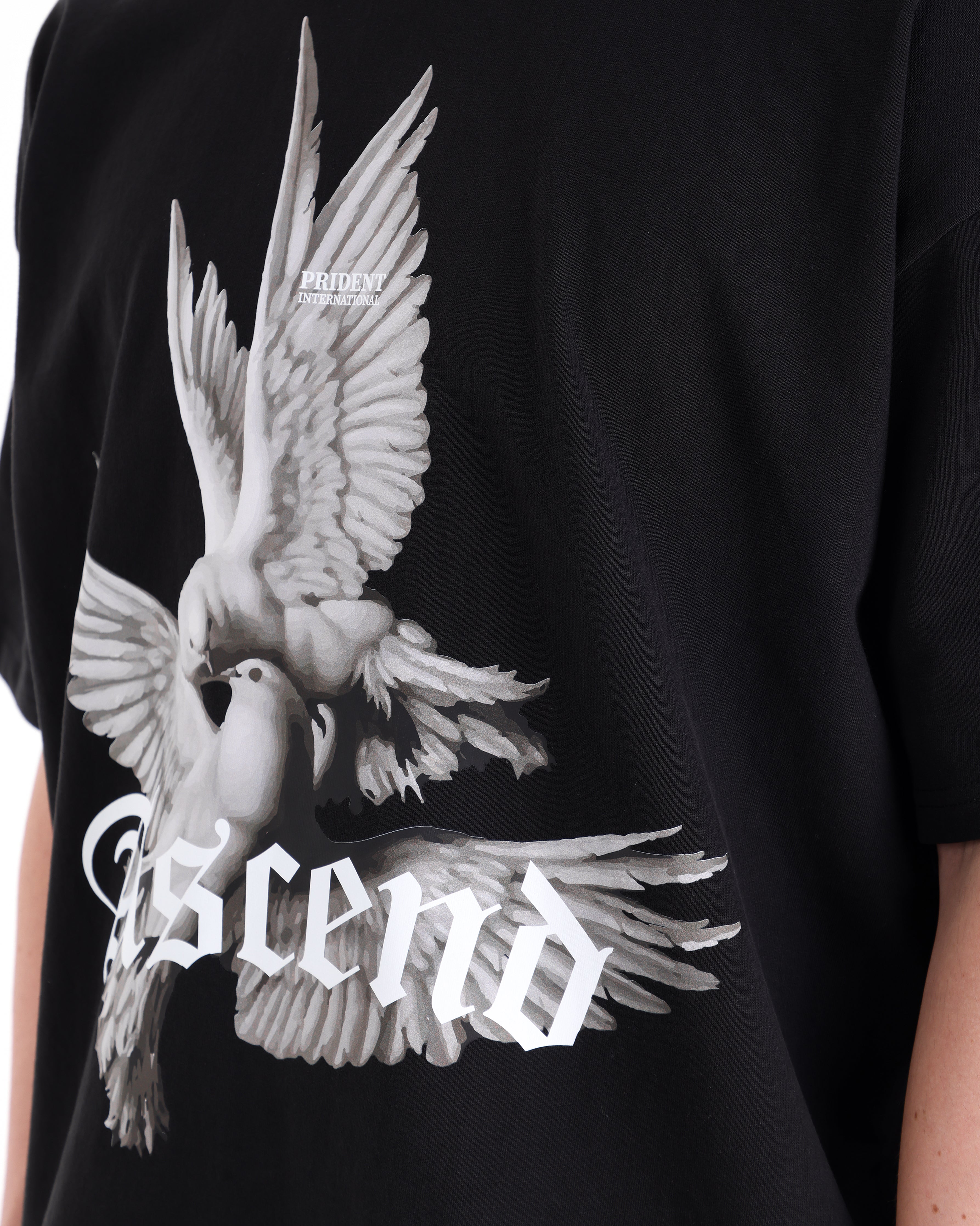 Ascend T-Shirt